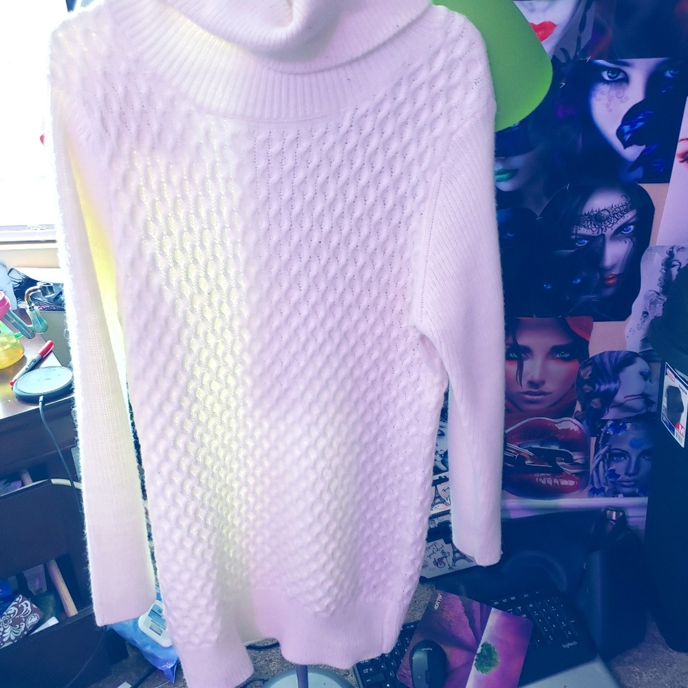 turtleneck sweater dress